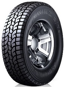 Scheda Variante Pneumatico &rsaquo; Marca: Apollo &rsaquo; Modello: Hawkz R/TS
